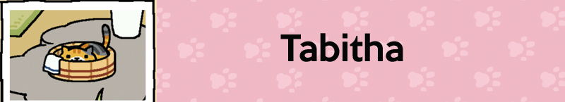 Illustration for article titled Neko Atsume Cats, Ranked